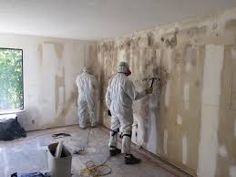 Reliable Matheny, CA Mold Removal Solutions